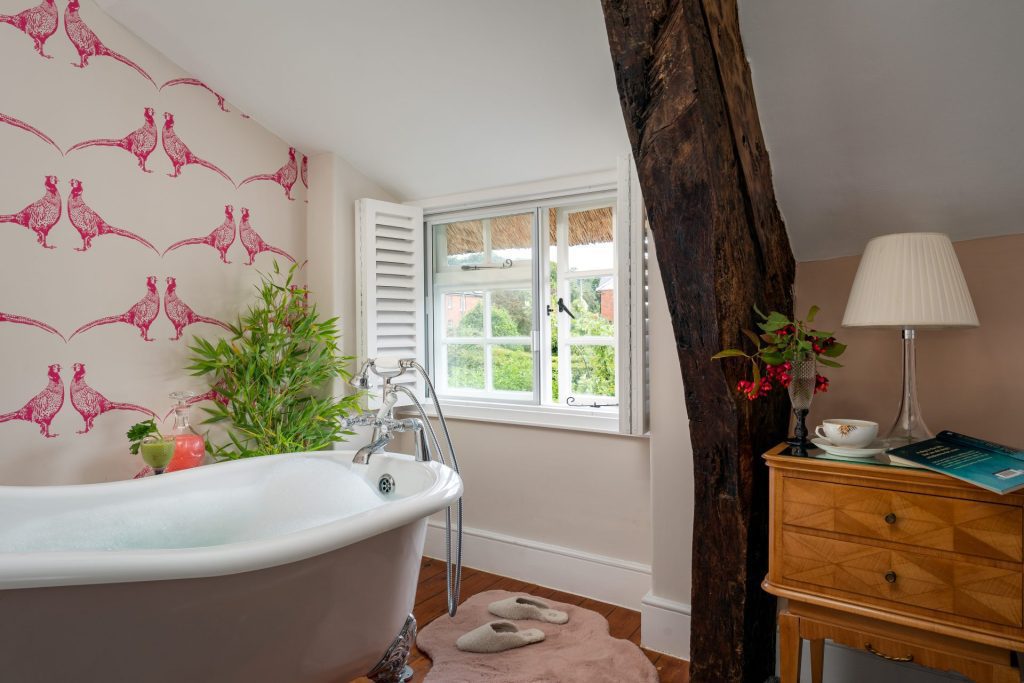 the pheasant in Woodbury