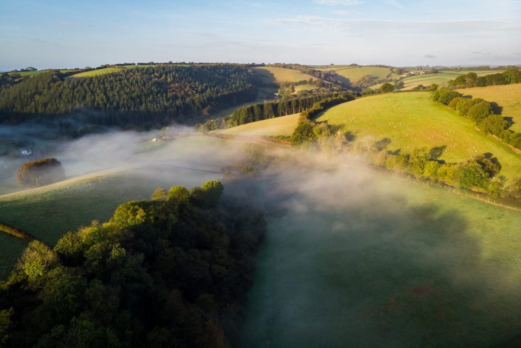 Early morning above Bittescombe Lodge