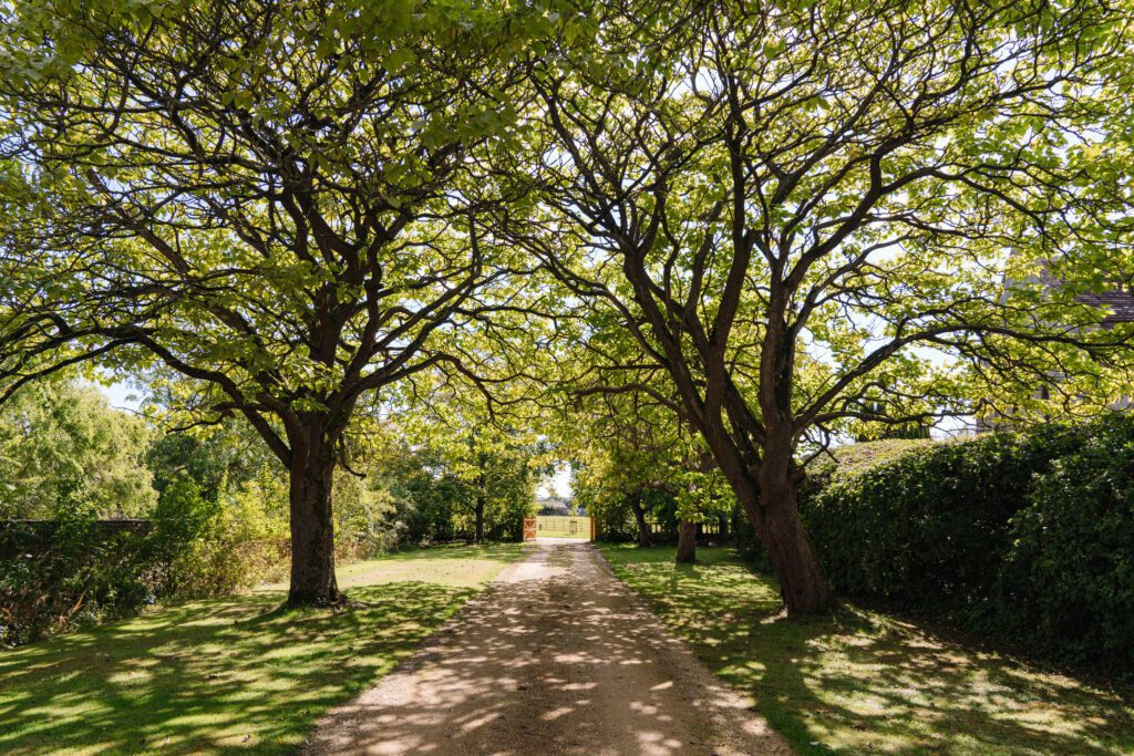 Forest Solar & Electrical Services – aerial and architectural ground photography of commercial and industrial electrical service installations by Sue Vaughton
